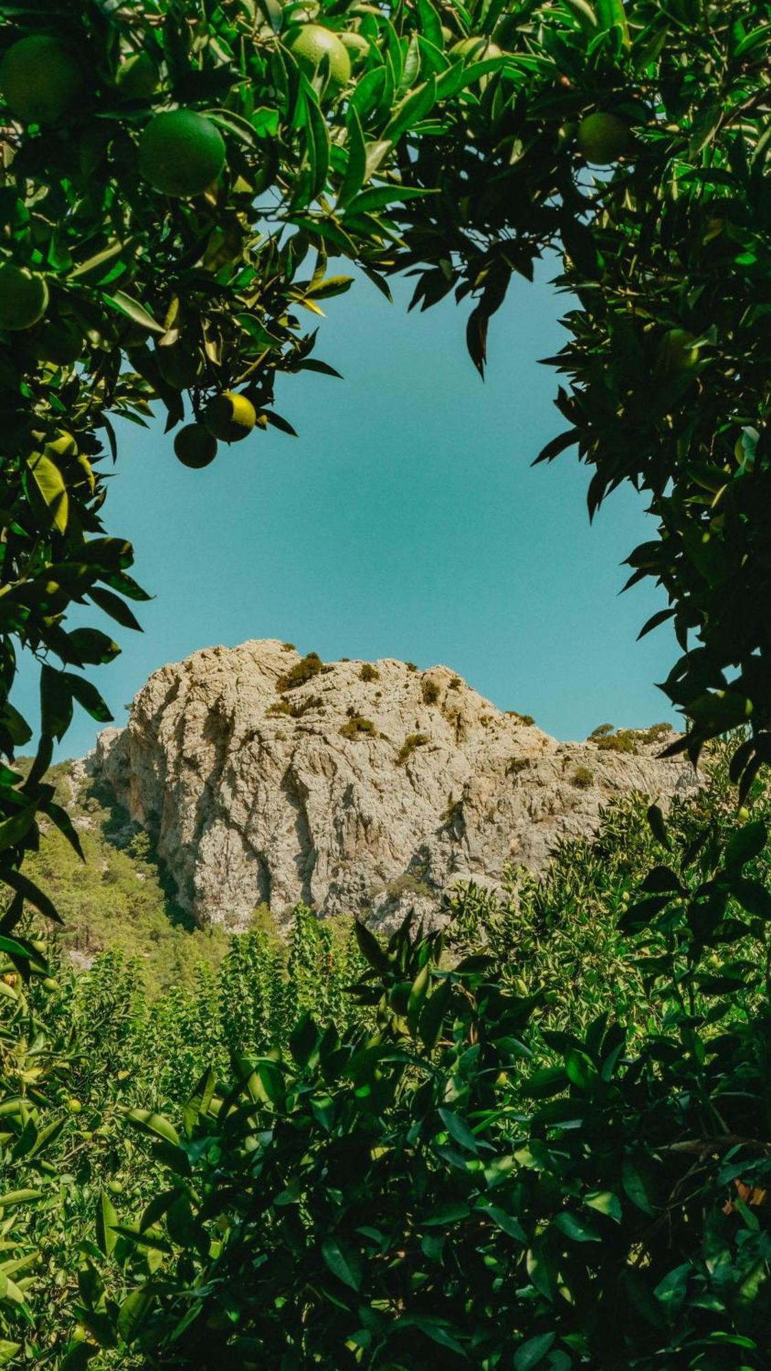 Sheriff, Olympos Kumluca Bagian luar foto