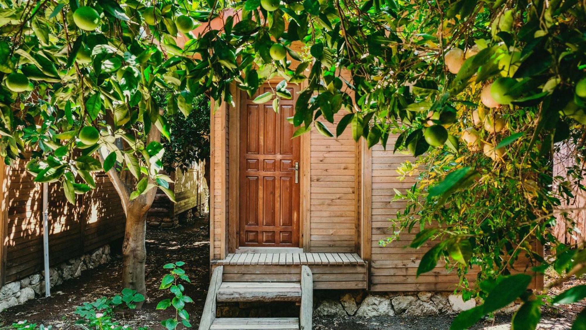 Sheriff, Olympos Kumluca Bagian luar foto